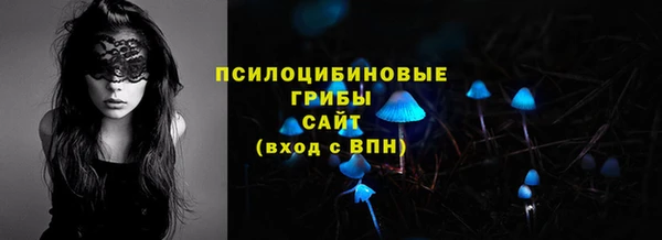 метадон Горняк