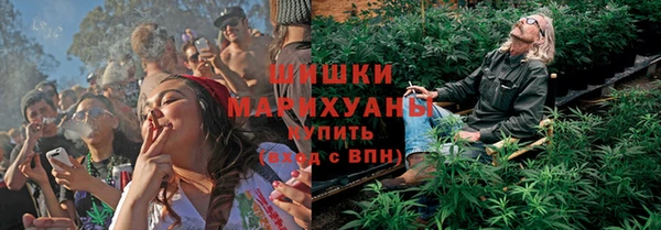 ПСИЛОЦИБИНОВЫЕ ГРИБЫ Горнозаводск