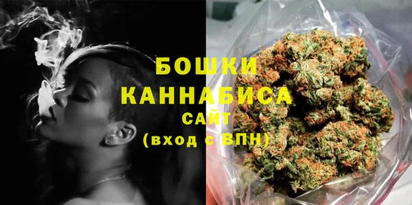 ПСИЛОЦИБИНОВЫЕ ГРИБЫ Вязники