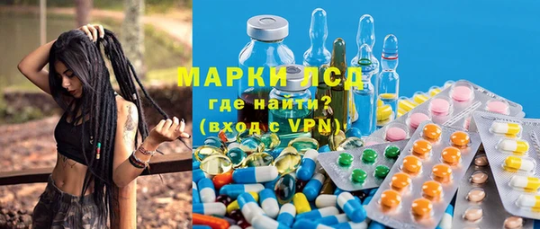 ПСИЛОЦИБИНОВЫЕ ГРИБЫ Горнозаводск