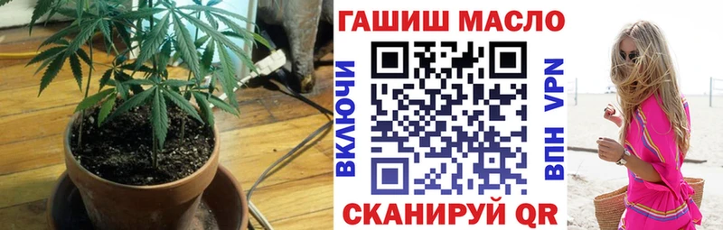 Купить закладки  Сурск  ТГК THC oil 