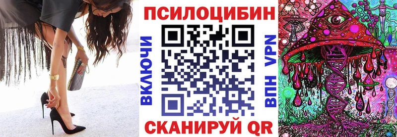 Галлюциногенные грибы Psilocybine cubensis  Купить  Сурск 