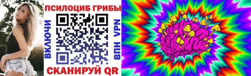 Галлюциногенные грибы Magic Shrooms Сурск